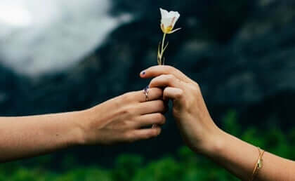 Pequenos gestos de amor