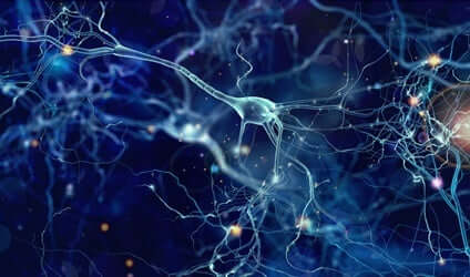 Ligações entre neurônios