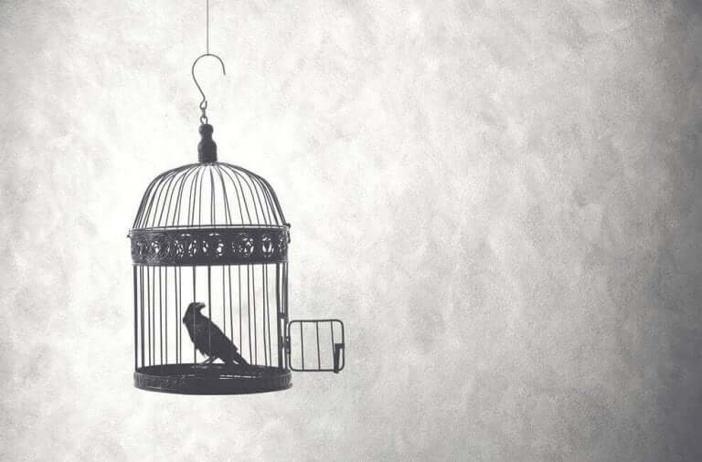 Pássaro em gaiola aberta