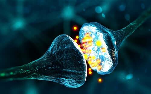 Sinapses de neurônios