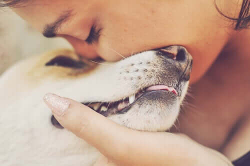 O transtorno de personalidade limítrofe e a relação com os cachorros