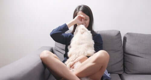 Desvantagens dos cachorros para o paciente com TPL