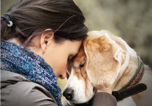 Mulher recebendo apoio emocional do seu cachorro