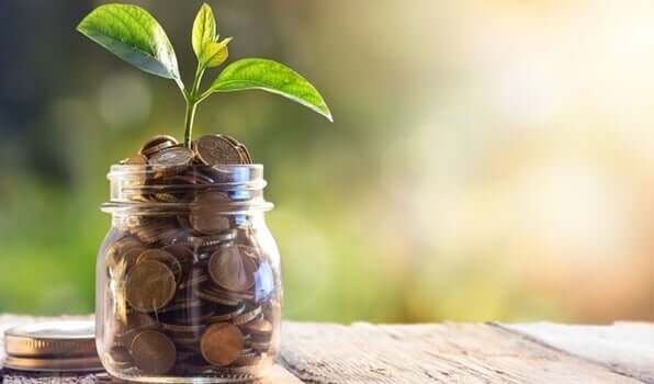 Fazer a vida financeira florescer