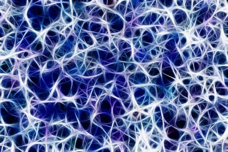 Plasticidade neuronal