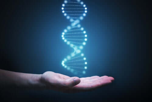 DNA humano