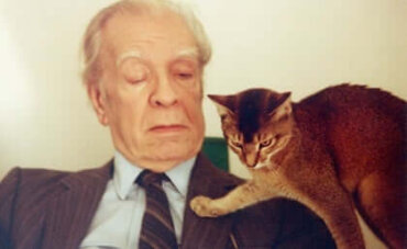 Jorge Luis Borges A Biografia De Um Erudito Das Letras