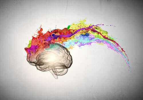 Cérebro colorido demonstrando sinestesia