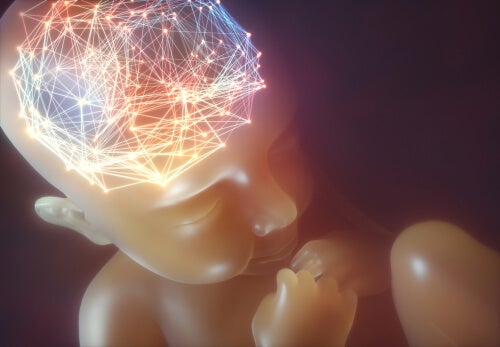 Como é a mente de um bebê segundo a neurociência?