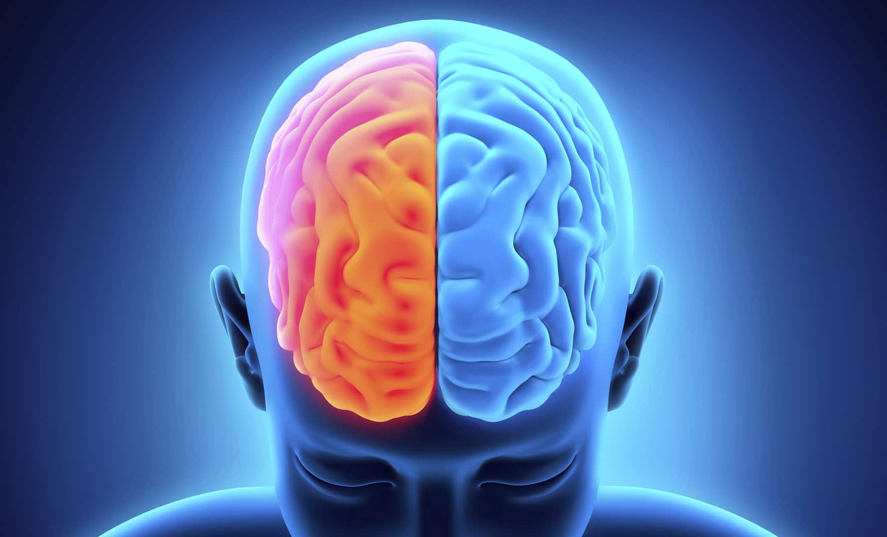 Hemisférios cerebrais