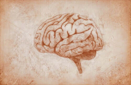 Desenho de um cérebro