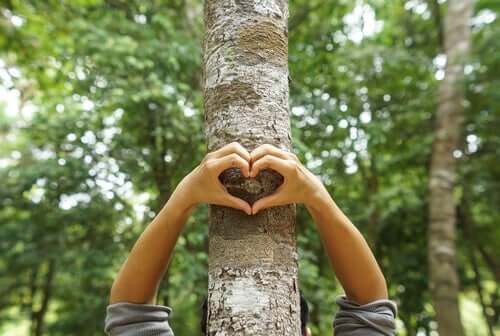 Proteger a natureza e o meio ambiente