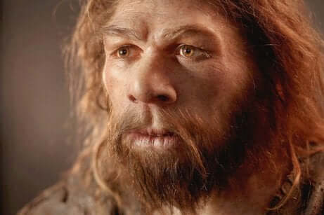 O cérebro dos neandertais