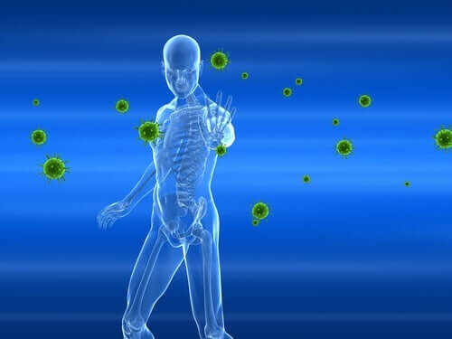 Sistema imunológico