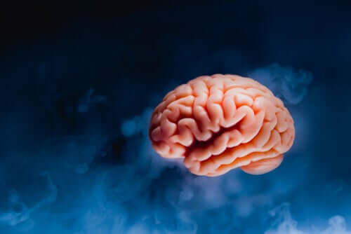 Cérebro sobre fundo azul