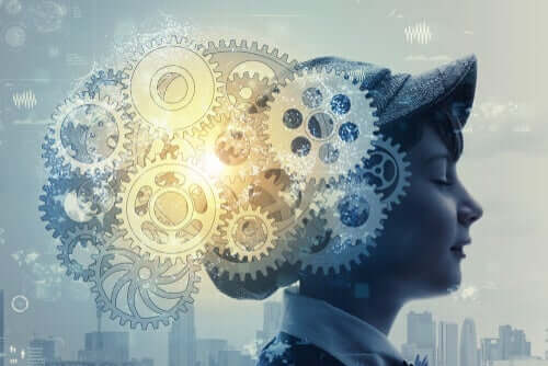 O funcionamento do cérebro