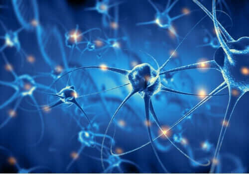 Neurônios cerebrais