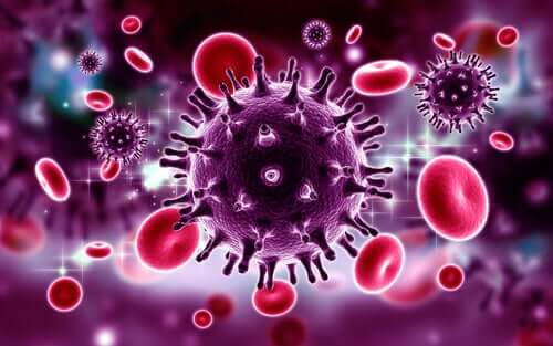 O vírus do HIV