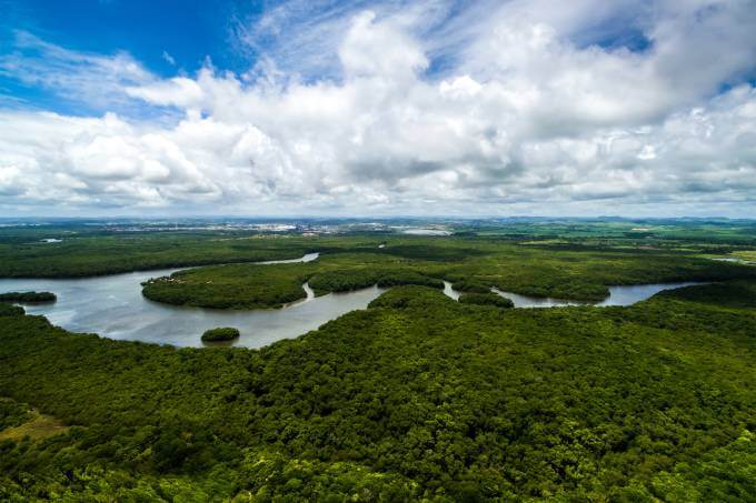 Floresta Amazônica