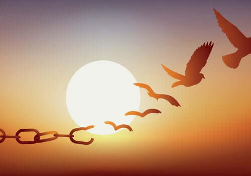 Pássaros rumo à liberdade