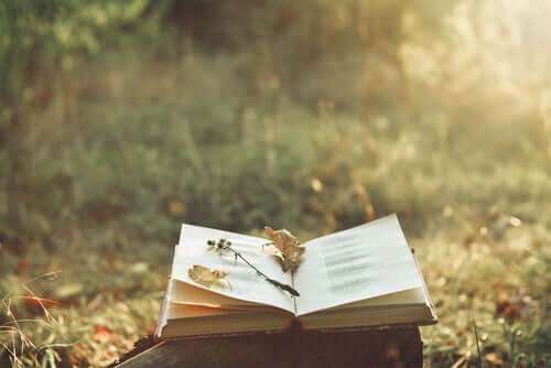 Livro aberto na natureza