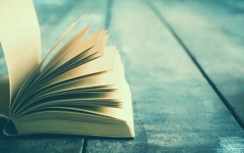 Livro aberto com páginas em branco