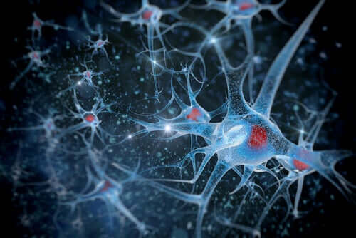Sincronização neuronal