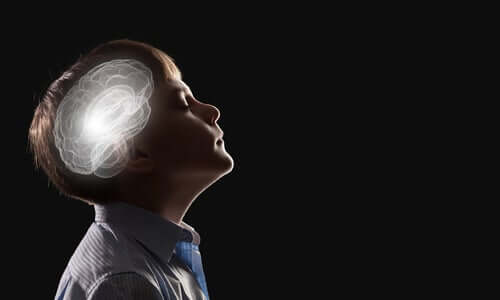 A neuropsicologia do desenvolvimento infantil