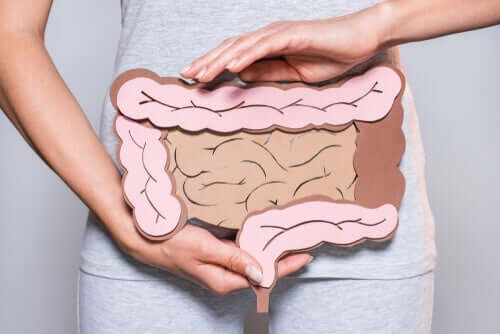 A digestão mental: a chave para os problemas intestinais