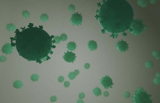 Vírus verde