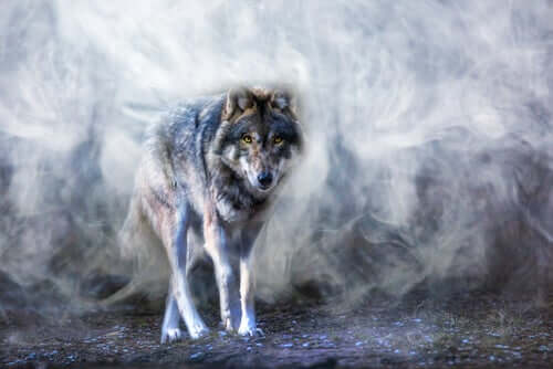 A lenda do lobo Astur, uma história sobre o equilíbrio