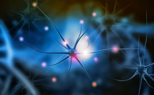 Os neurônios e as cores