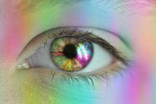 Visão de cor: como vemos as cores?