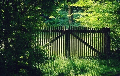 Portão fechado no campo
