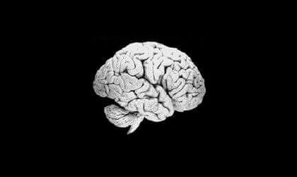 Cérebro humano diante de fundo preto