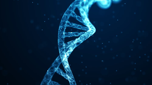 A mudança dos genes através da meditação