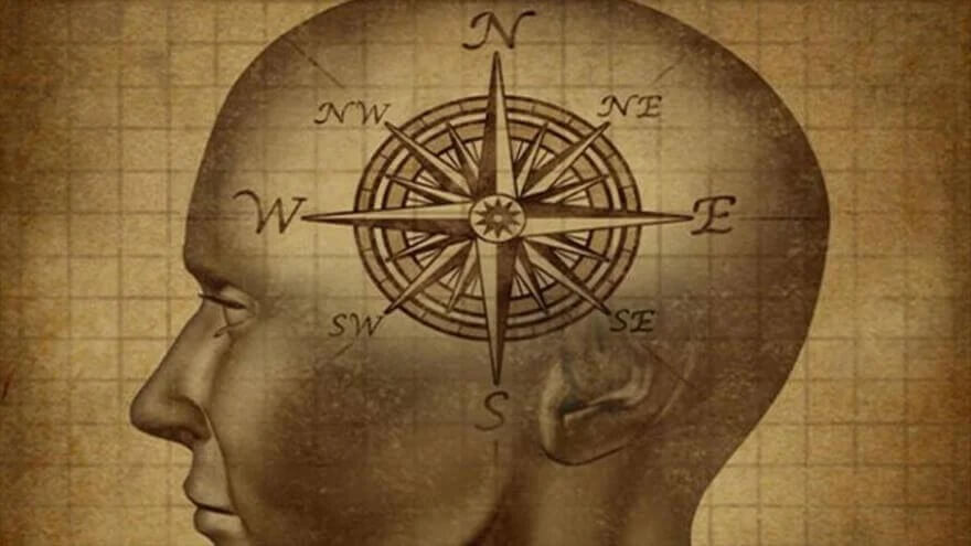 A bússola do cérebro moral