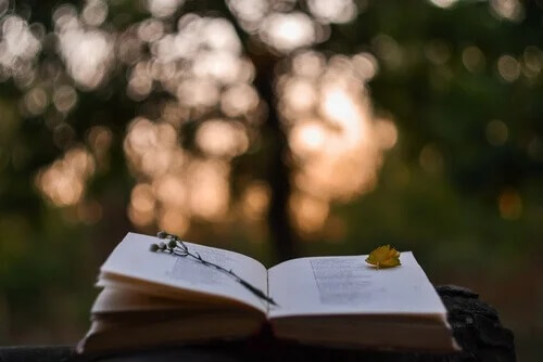 Poesia e cérebro: como se relacionam?