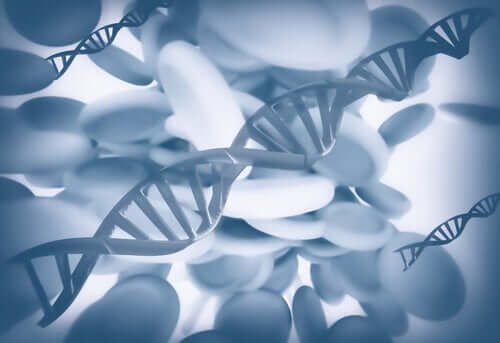 Moléculas de DNA