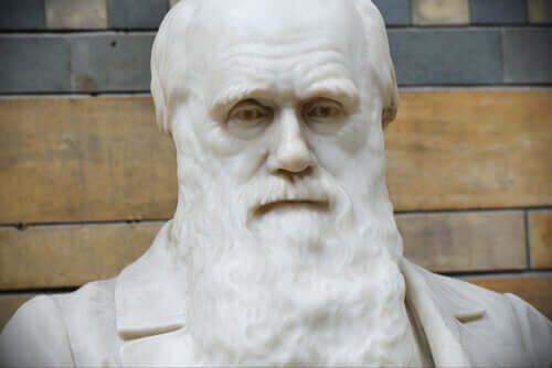 As melhores frases de Charles Darwin