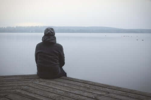 Homem observando paisagem em lago
