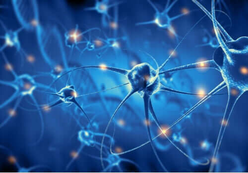 Ligações neuronais