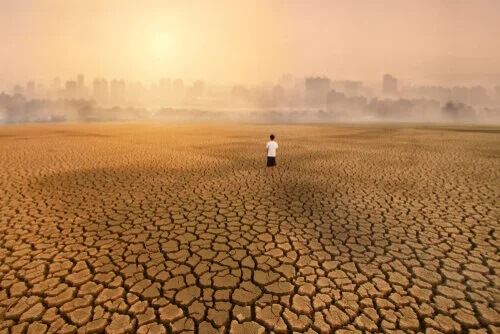 Ecoansiedade, uma consequência das mudanças climáticas