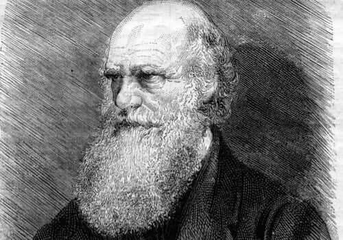 Desenho de Charles Darwin