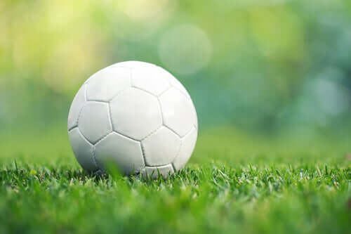Bola na grama