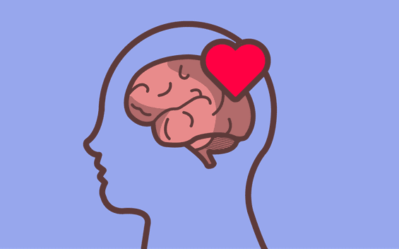 Cérebro e coração