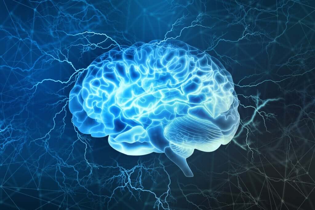 Ciclos do sono: entenda o seu cérebro para dormir melhor
