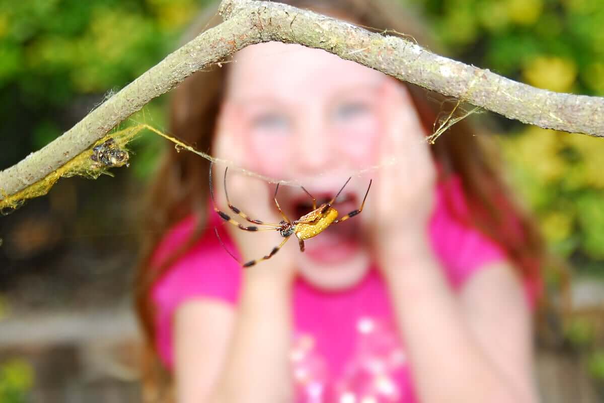 Menina com medo de aranha