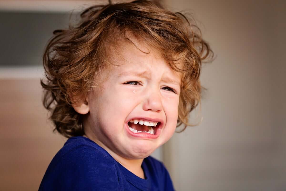 Eu não suporto ver meu filho ficar com raiva