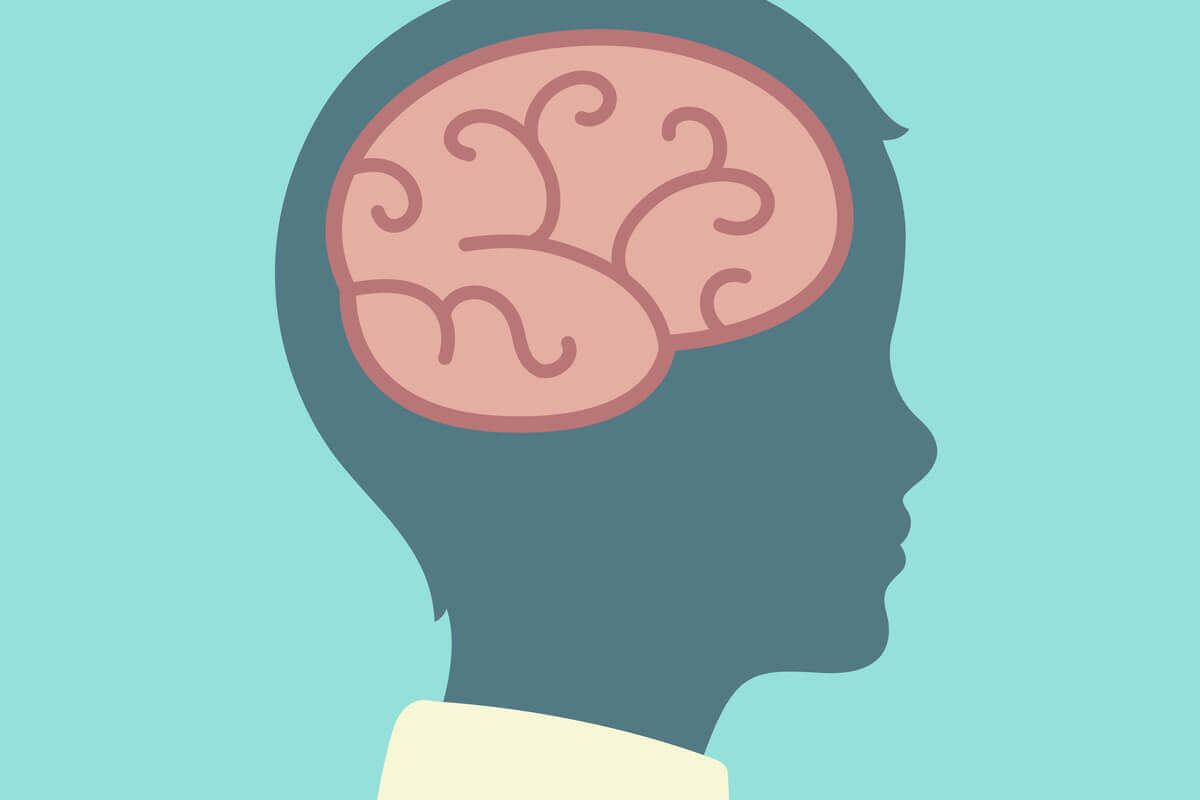 A teoria do desenvolvimento cognitivo de Piaget